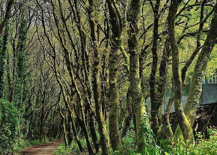 Otel Castro Formarís